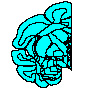 Labeled Line Drawings