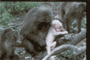 adult with infant