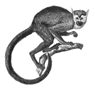 artist's drawing